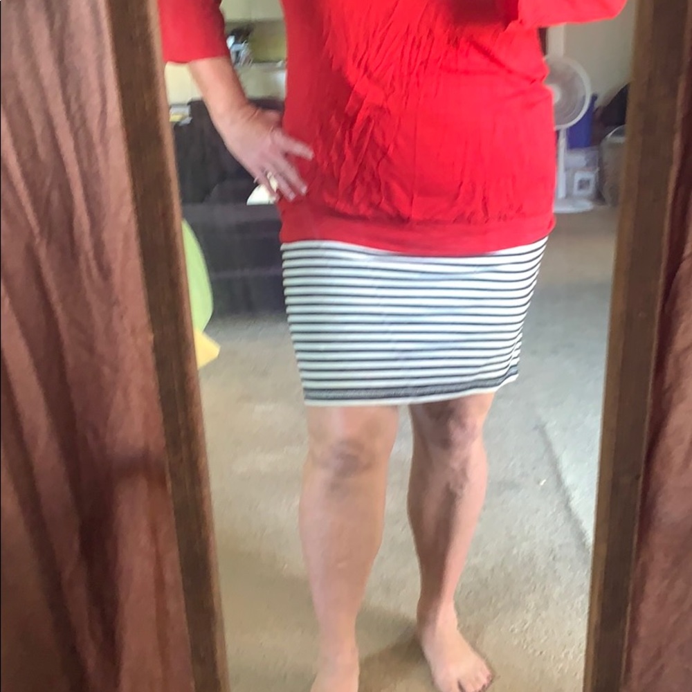 Skirt knee length Stretch cotton/poly/span